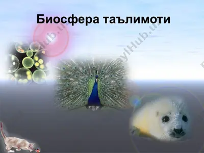 биосфера таълимоти — PPTX