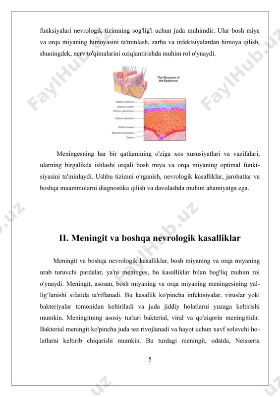ng tashqi ta'sirlardan himoya qilishini ta'minlaydi, balki keksayish jarayonida ham muhim o'zgarishlarga duchor bo'ladi. keksayish jarayoni, odatda, turli xil fiziologik va anatomik o'zgarishlar bilan bog'liq bo'lib, meningesning tuzilishi va funktsiyalarini ham ta'sir qiladi. keksayish bilan birga, meningesning tuzilishi o'zgaradi. masalan, keksaygan odamlarning meningeslari ko'pincha qalinlashadi va ularning elastikligi pasayadi. bunda, dura mater, arachnoid mater va pia mater qatlamlarining har biri o'ziga xos o'zgarishlarga ega bo'ladi. dura mater, eng tashqi qatlam, yuqori darajada qattiq va bardoshli bo'lib, keksaygan shaxsda ko'proq qattiqlashishi mumkin, bu esa bosh miya va orqa miyani himoya qilishda yordam beradi. arachnoid mater, o'rta qatlam, keksayish jarayonida suyuqlik bilan to'ldirilgan bo'shliqlarning o'zgarishi bilan bog'liqdir. ushbu bo'shliqlar, odatda, miya suyuqligini saqlaydi va bu suyuqlikning o'zgarishi keksaygan shaxslar uchun muammolarni keltirib chiqarishi mumkin. hujayralar va suyuqliklar orasidagi o'zaro aloqalar, keksayish jarayonida muhim ahamiyatga ega, chunki ular miyaning metabolizmi va funksiyalariga ta'sir qiladi. pia mater, eng ichki qatlam, miya va orqa miyaning …
