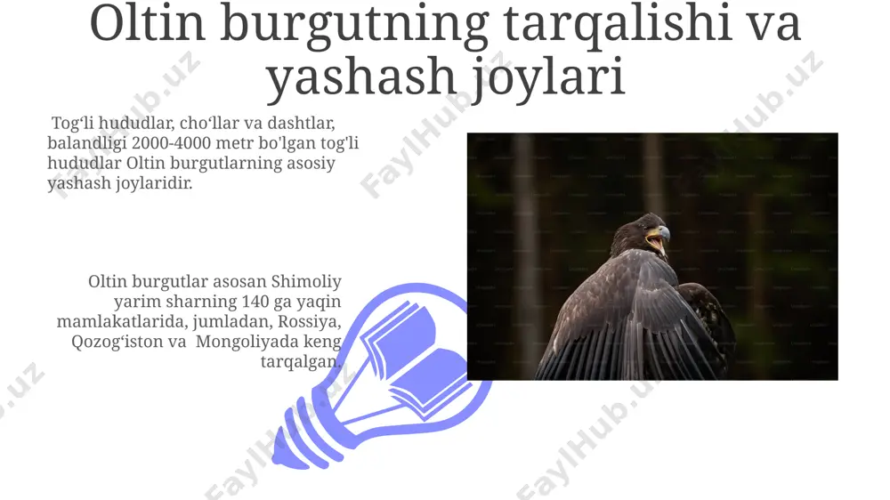togʻ burguti - Page 3