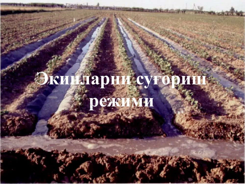 артиботини қўллаш, хамда экинлардан юқори ҳосил олишдир. image1.jpeg image2.png image3.png image4.png image5.jpeg image6.jpeg image7.jpeg image8.jpeg image9.jpeg image10.wmf image11.wmf oleobject3.bin oleobject4.bin image12.jpeg image13.wmf image14.wmf image15.wmf image16.wmf oleobject5.bin oleobject6.bin oleobject7.bin oleobject8.bin image17.png , 4 , 86 t m q × = га с л × / , q q × = a га с л × / га % 100 × = w нет хуж нет экин w a /docprops/thumbnail.jpeg