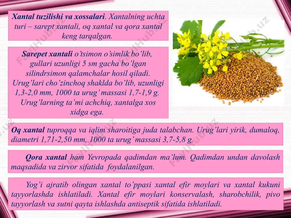 5,6-46,0 lipidlardan; 27,4 – oqsillardan (nx6,25); 7,9 – sellyulozadan; 3,5 – kullardan iborat. rijik yog’ining 15os xaroratdagi zichligi - 919-933 kg/m3; 20os xaroratdagi sindirish ko’rsatkichi – 1,475-1,478; qotish xarorati – 11-19os; 15os dagi kinematik qovushqoqligi 96*10-6 m2/s. krambe (crambe abyssinica) krambening tuzilishi va xossalari. krambe (crambe abyssinica) – yog’li o’simlik bo’lib, o’rtayer dengizi mamlakatlarida keng tarqalgan. krambe urug’lari qayta ishlanganida xantal yog’iga o’xshash ozuqaviy yog’ olinadi. yog’sizlantirilgan urug’lar chorva ozuqasi sifatida ishlatilishi mumkin. krambe urug’lari triatsilglitserollari yog’ kislota tarkibi qo’yidagicha (%): eruk (s22:1) – 49 gacha; oliyen (s18:1) – 25-27; linol (s18:2) – 14-15. krambe yog‘ining 20 s xaroratdagi zichligi - 907-919 kg/m3; 20os xaroratdagi sindirish ko’rsatkichi – 1,472-1,473; qotish xarorati – -8 dan –11 s gacha; 15sdagi kinematik qovushqoqligi 96 - 118*10-6 m2/s. dukkakdoshlar oilasiga mansub o’simliklarning umumiy tavsifi yog’li o’simliklar – yeryong’oq va soyaning bitta dukkakdoshlar oilasiga mansubligi ular mevasining tuzilishi va kimyoviy tarkibining bir xilligida namoyon bo’ladi. …