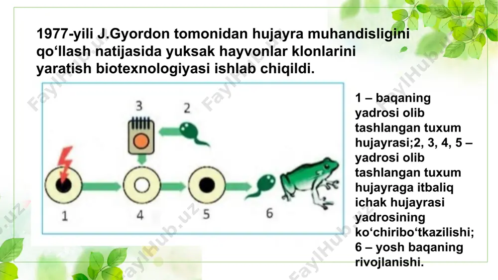 hayvonlar hujayrasi muhandisligi - Page 4