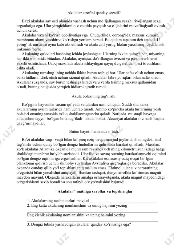 akulalar dumlarini bir tomonga, keyin boshqa tomonga egib suzishadi. u yoqdan bu tomonga burilib, dumi suvdan itaradi. suzish paytida ba'zi akulalar egilgan paytda, tanasi inglizcha "s"ga o‘xshab ketadi. ammo ayrim akulalar dangasaroq bo‘lishadi. ular okean tubida yashaydi. ular suzishni yoqtirmaydi. buning o‘rniga, ular ko‘krak qanotlari bilan pastki qismdan itarib, sekin emaklashadi. bunga yorqin misol-enaga akuladir. akulalar atrofini qanday sezadi? ba'zi akulalar suv osti olamida yashash uchun mo‘ljallangan yaxshi rivojlangan sezgi organlariga ega. ular yirtqichlarni o‘z vaqtida payqash va o‘ljalarini muvaffaqiyatli ovlash uchun kerak. akulalar yaxshi ko‘rish qobiliyatiga ega. chuqurlikda, qorong‘ida, maxsus kumush membrana ularni yaxshiroq ko‘rishga yordam beradi. bu qatlam tapetum deb ataladi. u yorug‘lik nurlarini oyna kabi aks ettiradi va akula zaif yorug‘likdan yaxshiroq foydalanish imkonini beradi. akulaning quloqlari boshning ichida joylashgan. ularning ikkita qulog‘i bor, miyaning har ikki tomonida bittadan. akulalar, ayniqsa, do‘rillangan ovozni va past tovushlarni yaxshi eshitishadi. uzoq masofada akula ishlaydigan qayiq dvigatelidan past tovushlarni eshta …