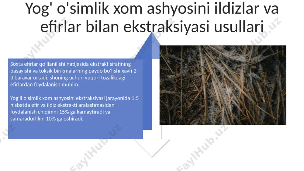ildizli, efirli moyli xom ashyolarni ektraksiya qilish - Page 4