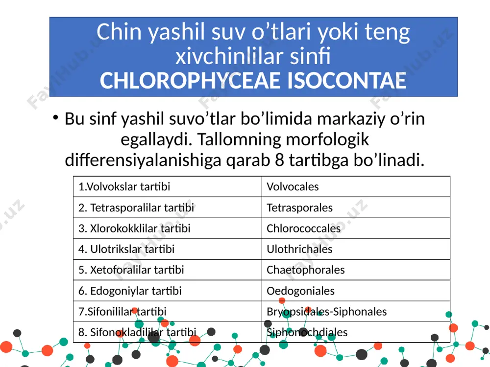 yashil suv o’tlar bo’limi-chlorophyta - Page 5
