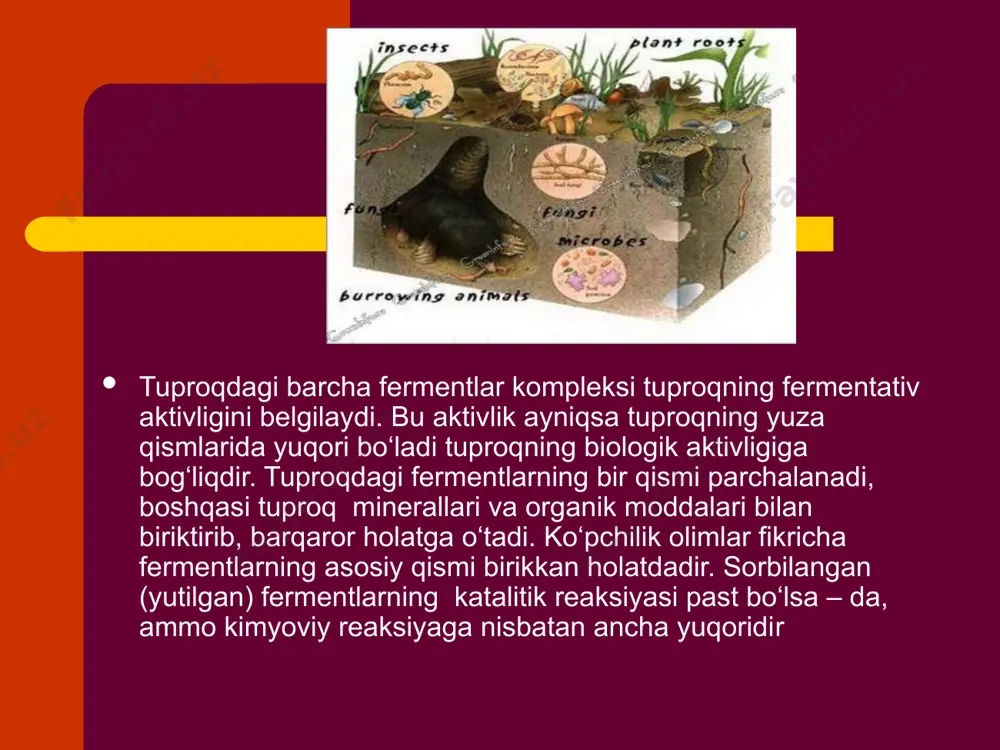 atga ega bo‘lgan va qiyin o‘zlashtiriladigan organik moddalar gumus moddalarning bevosita manbaidir. bu moddalarning parchalanish mahsulotlari oksidlanadi, kondensatlanadi (quyuqlashadi) va qoramtir rangli murakkab gumus moddalarga aylanadi. biokimyoviy jarayonlarning borishi, ayniqsa tuproq gumusining kimyoviy tarkibi, vilyams bo‘yicha yashil va xlorofillsiz o‘simliklarning biologik gruppalari (formatsiyalari) ning tipi bilan bog‘liq. jumladan, daraxtsimon o‘simliklar va ular bilan bog‘liq bo‘lgan zamburug‘lar, aktinomitsetlar va anaerob bakteriyalar ta’sirida suvda eriydigan kren kislotasi (fulvokislota) sintezlanadi. ana shunday sharoitda podzol tuproqlar paydo bo‘ladi. o‘tsimon o‘simliklar va ular bilan bog‘liq holda yashaydigan aerob va anaerob mikroorganizmlar ta’sirida ulmin kislotasi (qo‘ng‘ir guminlar), dasht o‘tsimon o‘simliklari formatsiyasi aerob mikroorganizmlar ishtirokida gumin kislotasini hosil qiladi. v.r.vilyamsning bu sxemasi umumiy bo‘lsada, ammo unda gumus paydo bo‘lishining kompleks faktorlari, jumladan organik moddalar manbai, ularni parchalashda ishtirok etadigan organizmlar va chirindi paydo bo‘lish sharoitlariga katta e’tibor berilgan v.r.vilyamsning gumus kislotalari organizmlarning ekzoenzimlar (sirtqi achitqi) lardan iborat, degan fikri xato edi. ko‘mir va torf kimyosi tadqiqotchilari (j.fisher …