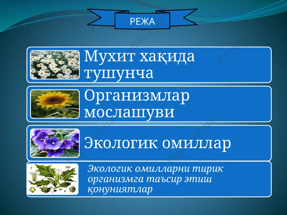 да организмлар туртта асосий яшаш мухитини узлаштирган буларди; сувли мухит. сувда хаёт пайдо булган ва таркала бошлаган. кейинчалик тирик организмлар ер-хаво мухитини эгаллаганлар. хаётнинг узига хос 4-мухити бу тирик мавжудодларнинг узидир. мавжудодларнинг мухитга мослашуви адоптация дейилади. мослашув хаётнинг асосий хусусиятларидан бири булиб, мавжудодларнинг яшаб колиши ва купайишини таъминлайди. организмлар учун зарур булган ёки унга тескари таъсир киладиган мухит элементларига экологик омиллар дейилади. табиатда бу омиллар бир биридан ажралган холда таъсир килмайди, балки мураккаб комплекс куринишда таъсир килади. экологик омиллар яшаши мумкин булмаган, яшаш мухити ёки шу организмнинг хаёт шароити хисобланади. турли организмлар бирор бир омилларни турлича кабул килади хамда шу омилга бир холда таъсир килмайди. ундан ташкари организмларнинг хар бир тури учун узининг алохида шароити характерлидир. масалан: чул ва ярим чулда яшовчи усимлик ва хайвон турлари юкори температура ва паст намликда яшайди. тундрадагилар - нам етишмаслигига сезгир ва паст хароратда яшай олади. демак, организмларнинг нормал усиши ва ривожланиши учун экологик …