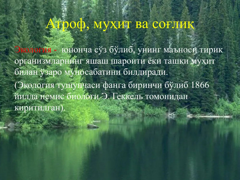 экология ва саломатлик - Page 5