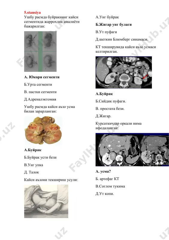 onkologiya mavzusidagi bilimlar to‘plami - Page 4