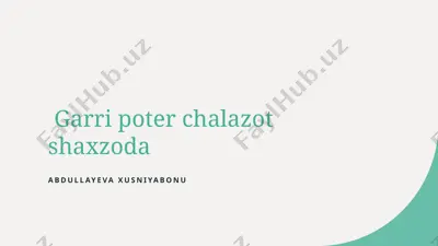 garri poter va sehrli realizm — PPTX