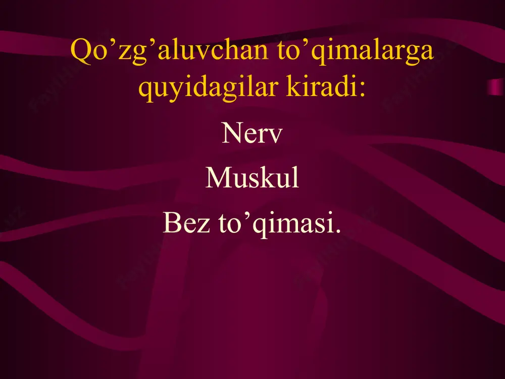fiziologiya kafedrasi - Page 4