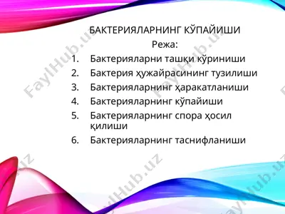 bakteriyalar kōpayishi — PPT