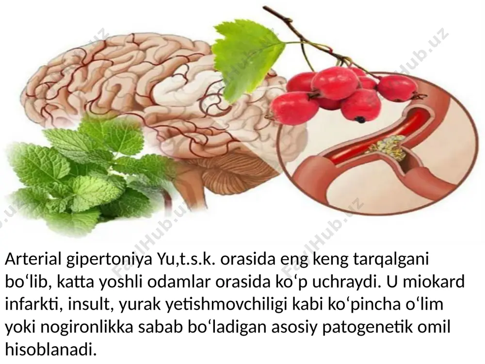 yurak qon-tomir sistemasi kasalliklari - Page 4