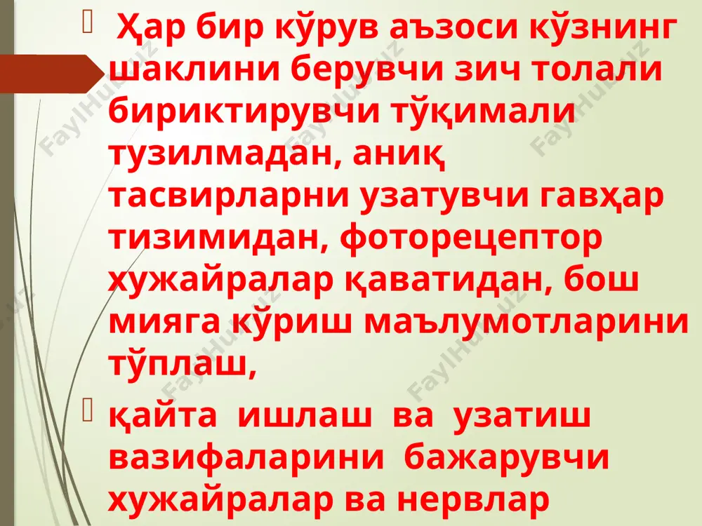 fotoretsepsiyaning morfologikasoslar - Page 3