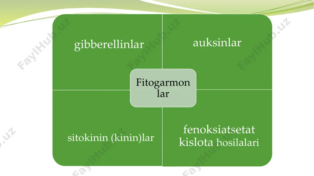 i. oʻsish jarayonlarini sustlashtiradigan tabiiy oʻsish ingibitorlari (mas, abssiz kislota, etilen) alohida guruxlarni tashkil etadi abssiz kislota etilen tabiiy oʻsishni tezlashtiruvchi moddalarga fitogormonlar, shuningdek, baʼzi vitaminlar; sintetik oʻstiruvchi moddalarga geteroauksin va uning analoglari, indolilmoy kislota va naftilatsetat kislota, maleinat kislota gidrozidi, suksinat kislota kiradi. oʻsishni toʻxtatuvchi moddalarga oʻsimliklarda turli xil kimyoviy, biokimyoviy, fiziologik jarayonlar (urugʻning unishi, poya va uning ayrim qismlarining oʻsishi, barglarning toʻkilishi va boshqalar) tormozlanishida faol ishtirok etadigan moddalar kiradi. tabiiy va sunʼiy oʻsish ingibitorlari farqlanadi. tabiiy yoki endogen oʻsish ingibitorlariga abssizat kislota, skopoletin, eskuletin, kumarin, salitsil kislota, poksibenzoat kislota va boshqalar kiradi. tabiiy oʻsish ingibitorlari oʻsimliklar kuzda oʻsishdan toʻxtab, tinim holatga oʻtish davrida ularning kurtak va urugʻlarida toʻplanadi. koʻklamda oʻsish ingibitorlari miqdori keskin kamayadi. sintetik oʻsish ingibitorlariga sianidlar, mishyakli preparatlar, gidrazin, simob va boshqalar ogʻir metallar kiradi. ularning fitogormonlardan auksinlar, gibberellinlar va sitokininlar faolligini yoʻqotish xususiyatiga egaligi isbotlangan. sintetik oʻsishni boshqaruvchi moddalarm. golland fitofiziologi f.kegel tomonidan auksin …