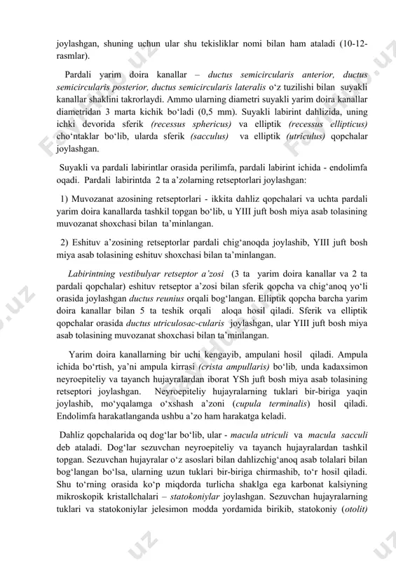 icircularis anterior, ductus semicircularis posterior, ductus semicircularis lateralis o‘z tuzilishi bilan suyakli kanallar shaklini takrorlaydi. ammo ularning diametri suyakli yarim doira kanallar diametridan 3 marta kichik bo‘ladi (0,5 mm). suyakli labirint dahlizida, uning ichki devorida sferik (recessus sphericus) va elliptik (recessus ellipticus) cho‘ntaklar bo‘lib, ularda sferik (sacculus) va elliptik (utriculus) qopchalar joylashgan. suyakli va pardali labirintlar orasida perilimfa, pardali labirint ichida - endolimfa oqadi. pardali labirintda 2 ta a’zolarning retseptorlari joylashgan: 1) muvozanat azosining retseptorlari - ikkita dahliz qopchalari va uchta pardali yarim doira kanallarda tashkil topgan bo‘lib, u yiii juft bosh miya asab tolasining muvozanat shoxchasi bilan ta’minlangan. 2) eshituv a’zosining retseptorlar pardali chig‘anoqda joylashib, yiii juft bosh miya asab tolasining eshituv shoxchasi bilan ta’minlangan. labirintning vestibulyar retseptor a’zosi (3 ta yarim doira kanallar va 2 ta pardali qopchalar) eshituv retseptor a’zosi bilan sferik qopcha va chig‘anoq yo‘li orasida joylashgan ductus reunius orqali bog‘langan. elliptik qopcha barcha yarim doira …