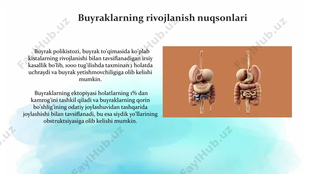 hi mumkin. siydik yo'llari infektsiyalari homilador ayollarda siydik yo'llari infektsiyalari xavfi 2-3 baravar yuqori bo'lib, bu pyelonefrit (buyrak yallig'lanishi) xavfini oshiradi va erta tug'ilish xavfini ham kuchaytiradi. siydik yo'llari infektsiyalari (syi)ning 85% dan ortig'i e.coli bakteriyalari tomonidan kelib chiqadi va asosan pastki siydik yo'llariga ta'sir qiladi, ya'ni siydik pufagi va siydik chiqarish kanaliga. buyrak atreziyasi buyrak atreziyasi diagnostikasi ultratovush tekshiruvi, magniy rezonans tomografiyasi va boshqa tasviriy tadqiqotlar orqali amalga oshiriladi va davolash usuli, buyrak shikastlanishining darajasiga bog'liq holda, konservativ yoki jarrohlik bo'lishi mumkin. buyrak atreziyasi tug'ma anomaliya bo'lib, taxminan 10 000 chaqaloqdan 1 tasida uchraydi va buyrak to'qimalarining rivojlanishining to'liq yoki qisman yo'qligi bilan tavsiflanadi. gidronefroz гидронефрознинг 10% dan ortiq hollarda ikki tomonlama rivojlanishi kuzatiladi, bu esa buyrak funksiyasining jiddiy buzilishiga olib kelishi mumkin. gidronefroz bilan og'rigan bolalarda siydik yo'llarining obstruksiyasi tufayli buyrak to'qimalarining atrofiyasi va sklerozlashuvi 3-5 yoshgacha aniqlanishi mumkin. e'tiboringiz uchun rahmat @taqdimot_robot image2.jpg image3.jpg image4.jpg image5.jpg image6.jpg …