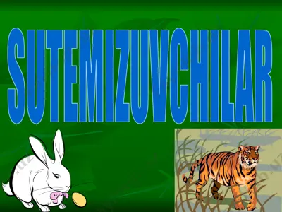 sutemizuvchilar — PPTX