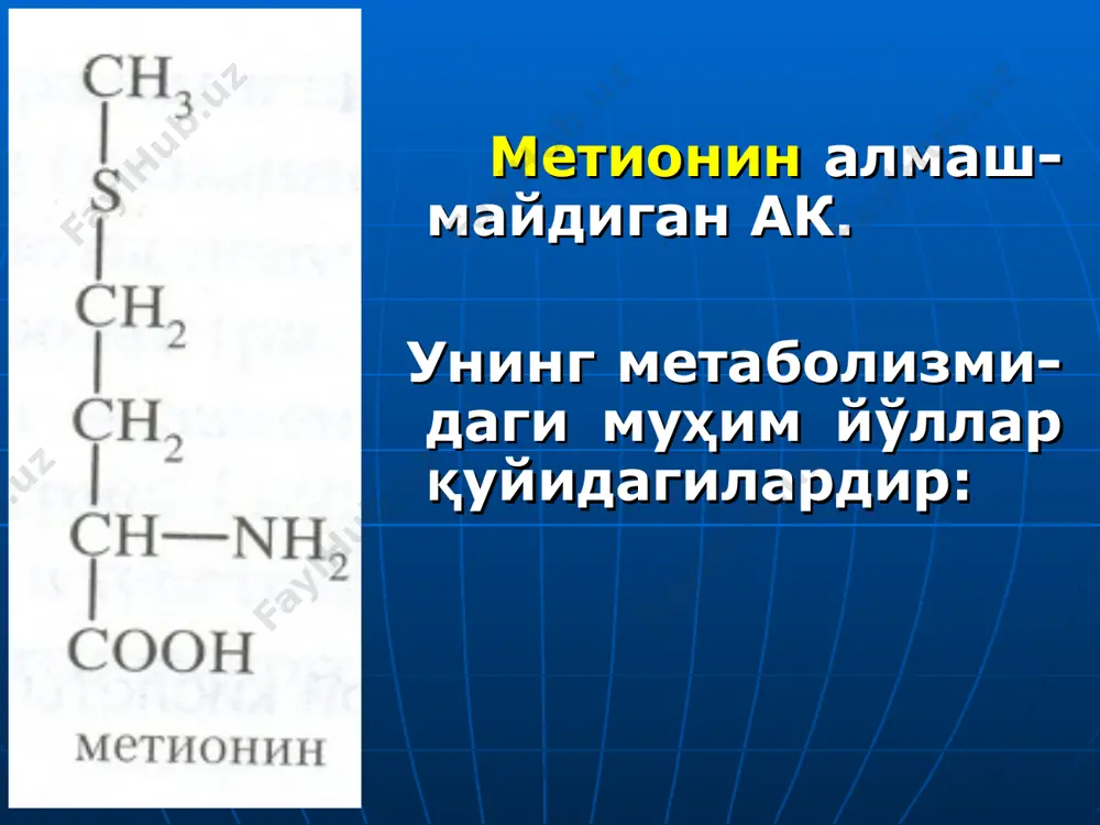 бу витамин метионин билан н4–фолат регенерациялана-диган муҳим реакцияларнинг бирида иштирок этади (гомо-цистеиннинг метионинга айланиш реакциясида). фолат кислотаси фолат кислота етишмаслиги-нинг биринчи клиник аломати бу мегалобластик (макроцитар) анемиядир. бу касаллик учун эритроцит-ларнинг катталашиб кетиши, қон оқимидаги эритроцитлар сони камайиб, қондаги гемогло-бин пасайиб қолиши характер-ли. хавфли анемия – касаллигида ҳам шундай аломатлар кузати-лади ва буларнинг пайдо бўлиш сабаблари иккала ҳолда ҳам бир-бирига ўхшашдир. қон яратувчи тўқима ҳужайралари тез бўлинадиган ҳужайралар жумласига киради ва шу сабабли нуклеин кислоталар синтези, аввало днк синтези ишдан чиқишига айниқса сезгир бўлади. н4 – фолат етишмовчилигига днк ўтмишдошлари тимидил кислота ва пуринли нуклео-тидлар танқис бўлиб қолади. нуклеин кислоталарнинг метилланиши издан чиқади ва пировард натижада эритропоэз-да ўзгаришлар рўй беради. мегалобластик анемия ҳамиша деярли фолат кислота (кўпинча) ёки в12 витамини етишмаслиги, ё бўлмаса иккаласининг биргаликда етишмаслиги натижасидир. катта ёшли одамларда суткалик эҳтиёж 0,1-0,5 мг. манбалари: сабзавот, ошкўклар, жигар, гўшт маҳсулотлари. бундан ташқари фолат кислотани ичак микроорганизмлар ҳам синтезлайди. фенилаланин ва …