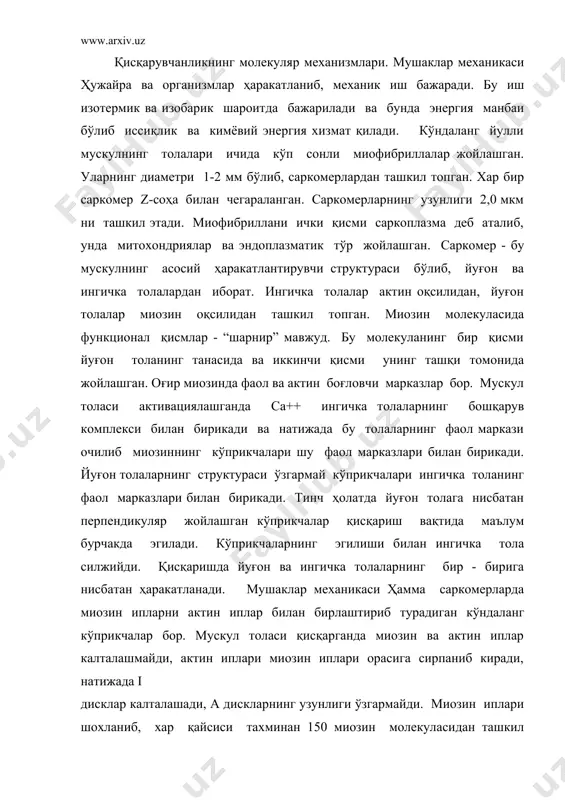 б киради, натижада i дисклар калталашади, а дискларнинг узунлиги ўзгармайди. миозин иплари шохланиб, хар қайсиси тахминан 150 миозин молекуласидан ташкил топган кўп бошчаларни ҳосил қилади. бу бошчалар миозин ипнинг ўсимтаси бўлиб, уни актин иплар билан боғлаб туради. кундаланг кўприкчаларнинг бошчалари эшкаксимон ҳаракат қилиб, актин ипларни миозин оралигига силжитади. кўприкчалар ҳаракатларининг амплитудаси 20 нм, частотаси секундига 5-50 тебранишдан иборат. кўприкчалар асинхрон равишда ҳаракатлансада, улар жуда кўп бўлганидан вужудга келадиган тортиш кучи қисқариш давомида бир меъёрда сақланади. тинч ҳолатда кўприкча энергияга бойийди, лекин актин ипи билан бирика олмайди, улар ўртасида жойлашган тропонин оқсили билан бириккан тропомиозин ипи бунга халақит беради. мускул фаоллашганда унинг миоплазмасида эркин са++ ионлари пайдо бўлади. тропонин кальций билан бирикиб, ўз конформациясини ўзгартиради ва тропомиозин ипини суриб, кундаланг кўприкчаларнинг актин иплари билан бирикишига имконият туғдиради. бирикиш натижасида кўприкчанинг конформацияси кескин ўзгаради, унинг бошчаси эгилади, актин ипи 20 нм сурилади. бу ҳаракат учун сарфланган энергия фосфорилланган актомиозин таркибидаги макроэргик фосфат …