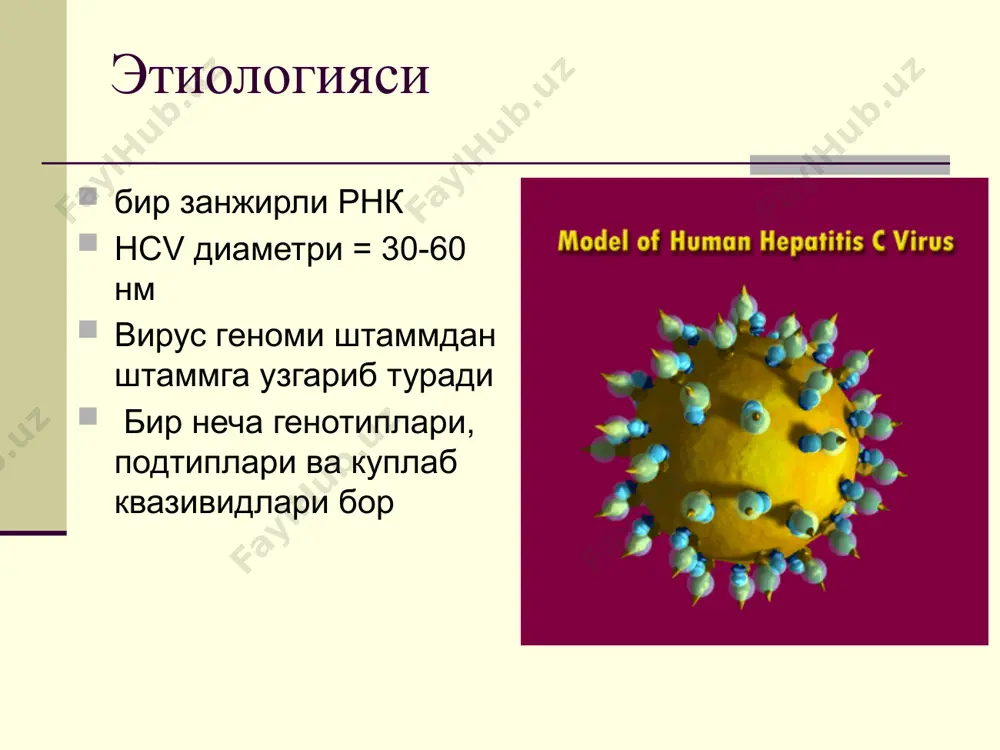 вирусли гепатит с - Page 5