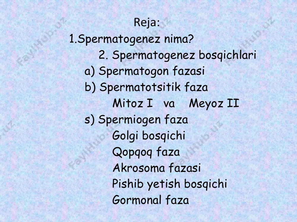 testosteron darajasining oshishi spermatogoniya ko`payishini faollashtiradi. spermatotsitik faza: bu bosqichda b spermatogoniyasi metoz bo`linib, birlamchi spermatotsitlarni hosil qiladi. shuning uchun har bir hujayra ikkita xromosomani olib yuradi. spermatotsitlar metodik bo`linib, ulardagi genetik material gaploid xarakterga ega bo`lguncha kamayadi. mitoz i birinchi mitoz bo`linishda xromosomalar profazada kondensatsuyalanadi. natijada odamlarda har biri xromatidlar to`plamiga ega bo`lgan va 2 ta xromosoma (x va y) bo`ladi. gomologik xromosomalar metafazada bir biriga juftlashib, tetradlar deb ataladigan ikki juft xromatidaga ega bo`lgan tartibni hosil qilishadi. xromosomalar o`rtasida ma`lumot almashinishi orqali spermatotsitlardan hosil bo`lgan barcha spermatidlar turlicha bo`ladi. o`tish oxirida xromosomalar ajralib chiqib, qarama- qarshi qutblarga siljiydi. har bir xromosomalar rekombinatsiyalangan xromatidalari bilan birga qoladi. meyoz ii yangi dnk sintezidan so`ng, meyoz ii boshlanadi. natijada har bir spermatotsitda gaploid to`plamli xromosoma va har bir xromosomada juft xromatidalar bo`ladi. metafazada xromosomalar taqsimlanib, xromatidalar meyotik shpindelning qarama – qarshi tomoniga ko`chib ajralib chiqadi. yadro membranalari tiklangach, gaploid to`plamli xromosomalar …