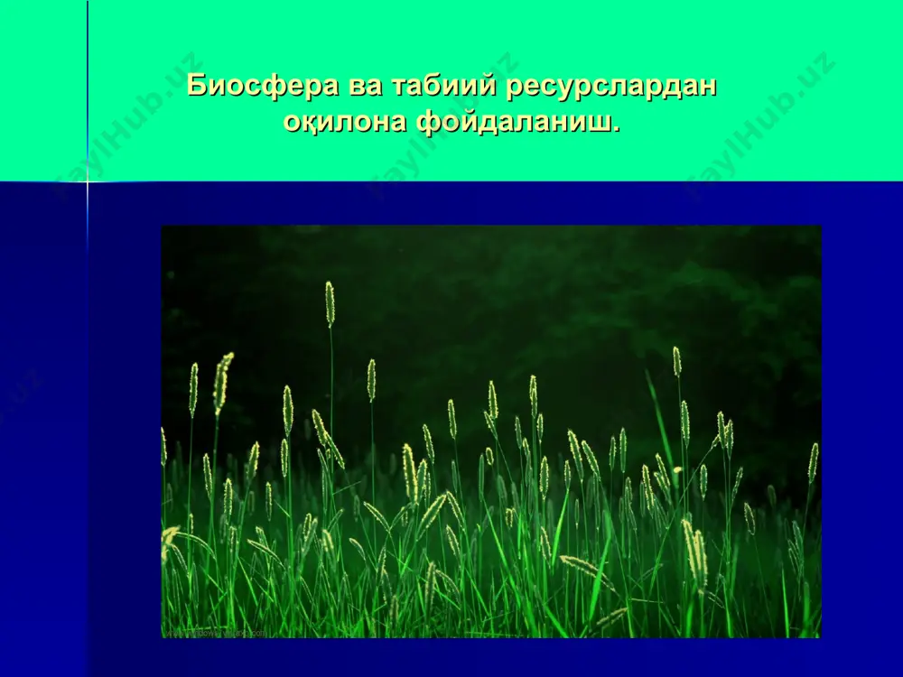 шаётган жараёнлар унинг янги сифат ҳолати - ноосферага ўтишни тақозо қилади. т.а.акимова ва в.в хаскинлар (1998) сайёра юзасида табиий ресурсларни ўзлаштиришда инсон томонидан кўчириладиган моддаларнинг массаси йилига 4 триллион тоннани ташқил этган. ер остидан қазиб олинадиган ва жаҳон иқтисодиёти томонидан ўзлаштирилган биомасса ва материаллар йилига 120 млрд тоннани ташқил қилади ва унинг фақат 7.5% идан ишлаб чиқариш жараёнида зарур маҳсулотлар олинган ва катта қисми чиқинди сифатида атроф-муҳитга ташланган. табиий ресурсларни оқилона бошқариш ҳозирги вақтда табиий ресурслардан фойдаланиш ва қайта ишлов беришда бир неча оқилона ёндашувлар мавжуд. жумладан: 1. асосий ҳом-ашё жинслардан минерал ресурсларни қолдирмай тўлалигича фойдаланиш; чиқиндиларидан хом ашё сифатида қайта фойдаланиш; 3. минерал ресурслардан комплекс фойдаланиш. атроф-муҳитни ҳимоя қилиш табиий ресурсларни тиклаш масласида қуйидагиларни эътиборга олиниши керак: - маҳаллий минтақавий ва глобал экологик мониторинг ўтказиш: - ўрмонларни тиклаш ва ёнғин, зараркўрандалар, касалликлардан муҳофаза қилиш: - қўриқхоналар, эталон экотизимлар, бебаҳо табиий мажмуаларини кенгайтириш ва уларни сонини кўпайтириш: - ўсимлик ва …