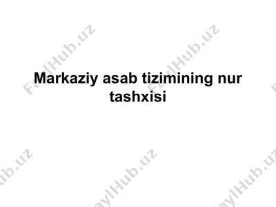 markaziy asab tizimining nur tashxisi — PPTX