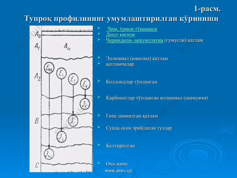 тда бошқа қатламларга нисбатан анча тўқ, қорамтир тусли бўлиб, бунда энг кўп миқдорда органик моддалар (гумус) ва озиқ моддалар тўпланган. ишлов бериладиган тупроқлар профили одатда ҳайдалма қатламдан (аҳ) бошланади. бу қатлам тупроқ гумусли қатлам ва қисман пастки қатламларнинг ҳайдалиши туфайли ҳосил бўлади. чимланиш жараёни яхши борадиган қўриқ ерларда (қора тупроқлар, каштан ва бўз тупроқларда) чим қатлами (ач) яхши ифодаланади а1 - гумусли – аккумулятив (чиринди тўпланадиган) қатлам; а2-элювиаль, в - иллювиал ёки ўтувчи, g - глей (берч) қатлам, с - она жинс, д-остки ғовак тоғ жинслари бўлиб, с - дан ўзининг литологик таркиби билан фарқланади. аҳ - ҳайдалма қатлам, ишлов бериладиган тупроқлардаги ҳайдалма қатлам. қўриқ ерларда ач қатлам - чимли қатлам ажра- тилади. ао ва т органоген қатламлари тупроқ минерал қисмининг юзасида тўшама сифатида пайдо бўлади. www.arxiv.uz www.arxiv.uz тупроқнинг морфологик белгилари элювиал (ювилма) қатлам (а2) тупроқ минерал қисмининг интенсив парчаланиши ва бу маҳсулотларнинг пастки қатламларга ювилиб кетилиши жараёнлари нати-жасида пайдо …