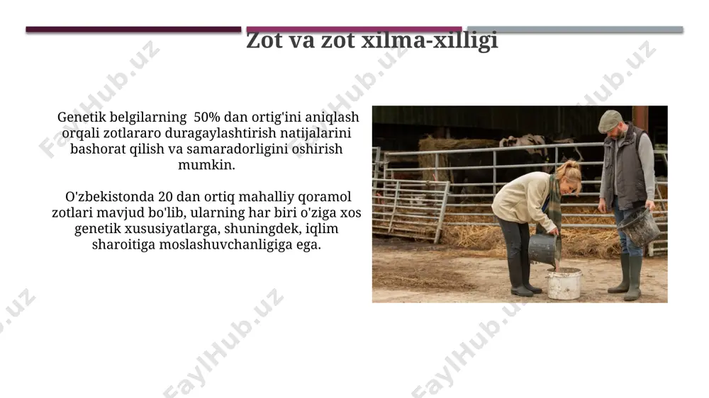 chorvachilikda duragaylash tiplari va seleksion materiallar - Page 4