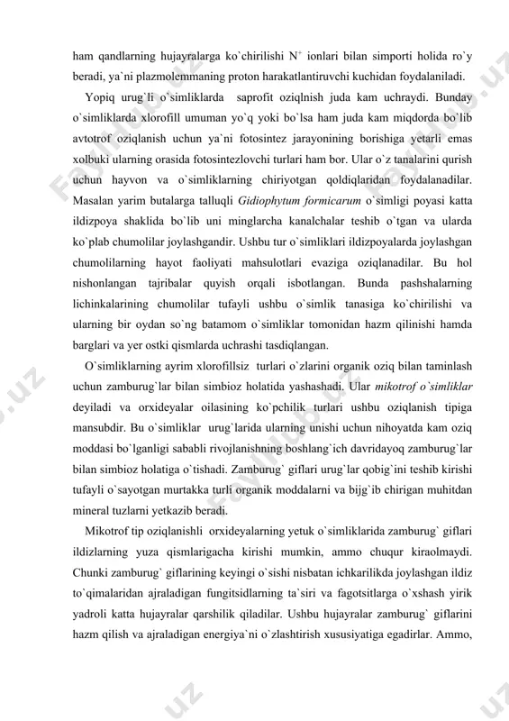 ar bilan simbioz holatiga o`tishadi. zamburug` giflari urug`lar qobig`ini teshib kirishi tufayli o`sayotgan murtakka turli organik moddalarni va bijg`ib chirigan muhitdan mineral tuzlarni yetkazib beradi. mikotrof tip oziqlanishli orxideyalarning yetuk o`simliklarida zamburug` giflari ildizlarning yuza qismlarigacha kirishi mumkin, ammo chuqur kiraolmaydi. chunki zamburug` giflarining keyingi o`sishi nisbatan ichkarilikda joylashgan ildiz to`qimalaridan ajraladigan fungitsidlarning ta`siri va fagotsitlarga o`xshash yirik yadroli katta hujayralar qarshilik qiladilar. ushbu hujayralar zamburug` giflarini hazm qilish va ajraladigan energiya`ni o`zlashtirish xususiyatiga egadirlar. ammo, giflarning tashqi membranasi orqali ro`y berishi mumkin bo`lgan o`simlik va zamburug`lar orasidagi moddalar almashinuvi jarayoni ham ehtimoldan xoli emas. xlorofillsiz bo`lgan monotropa o`simligi ham ananaviy holda saprofitlarga talluqli deb qaraladi. ammo, bu holda saprofit oziqlanish usuli bevosita emas, balkim mikoriz holatida zamburug` bilan simbioz ko`rinishida bo`ladi va ko`pchilik hollarda tekinxo`rlik deb qaraladi. chunki, ushbu o`simlik uning ildizlariga o`sib kirgan zamburug` giflarini o`zlashtirib hazm qiladi. binobarin zamburug`, xususan, saprofit bo`lib, o`simlik esa tekinxo`r hisobidadir. zamburug` …