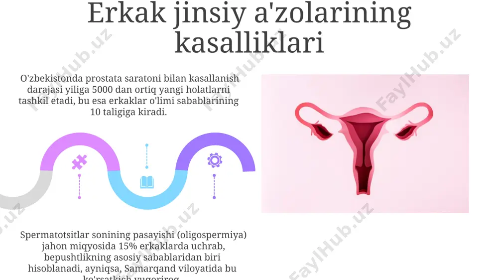 erkaklar reproduktiv a'zolari - Page 5
