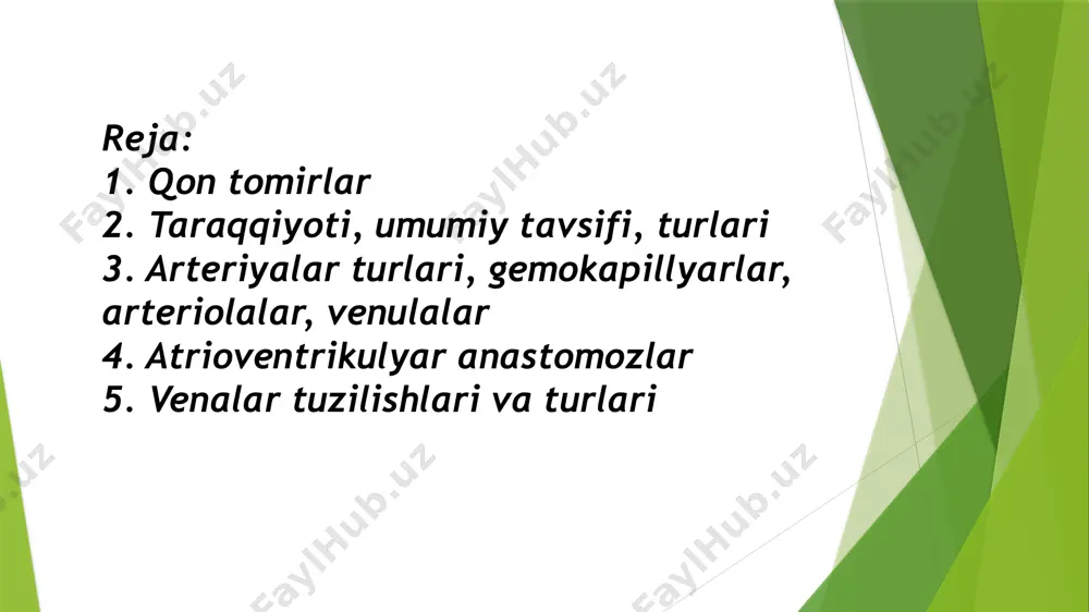 yin ular rivojlanib arteriyalar va venalarga ajraladi. umumiy tavsifi yurak-qon tomir tizimi – bu yurak va uni bog‘lovchi millionlab qon tomirlardan iborat bo‘lib, organizmda qon aylanishini ta’minlaydi. qon kislorod, ozuqa moddalarini to‘qimalarga olib boradi va chiqindi moddalarni chiqarib yuboradi. tizim quyidagilardan iborat: • yurak – asosiy nasos organi bo‘lib, qonning harakatini ta’minlaydi. • arteriyalar – yurakdan chiqadigan qon tomirlari (kislorodga boy qon olib boradi). • venalar – yurakka qaytuvchi qon tomirlari (kislorodga arteriyalar turlari arteriyalar — bu yurakdan organizmning barcha qismlariga kislorodga boy (arterial) qon olib boradigan qon tomirlari hisoblanadi (faqat o‘pka arteriyasi kislorodga kambag‘al qon olib boradi). arteriyalar quyidagi turlarga bo‘linadi: a) elastik arteriyalar • bu arteriyalar yurakdan to‘g‘ridan-to‘g‘ri chiqadigan eng yirik qon tomirlaridir. • devorlari elastik tolalarga boy bo‘lib, yurak urishi vaqtida kengaya oladi. • misollar: aorta, o‘pka arteriyasi. • ular yurak urishining kuchli bosimini o‘zlashtirib, uni yumshoqroq oqimga aylantiradi. b) muskulli arteriyalar • bu arteriyalar o‘rta va …