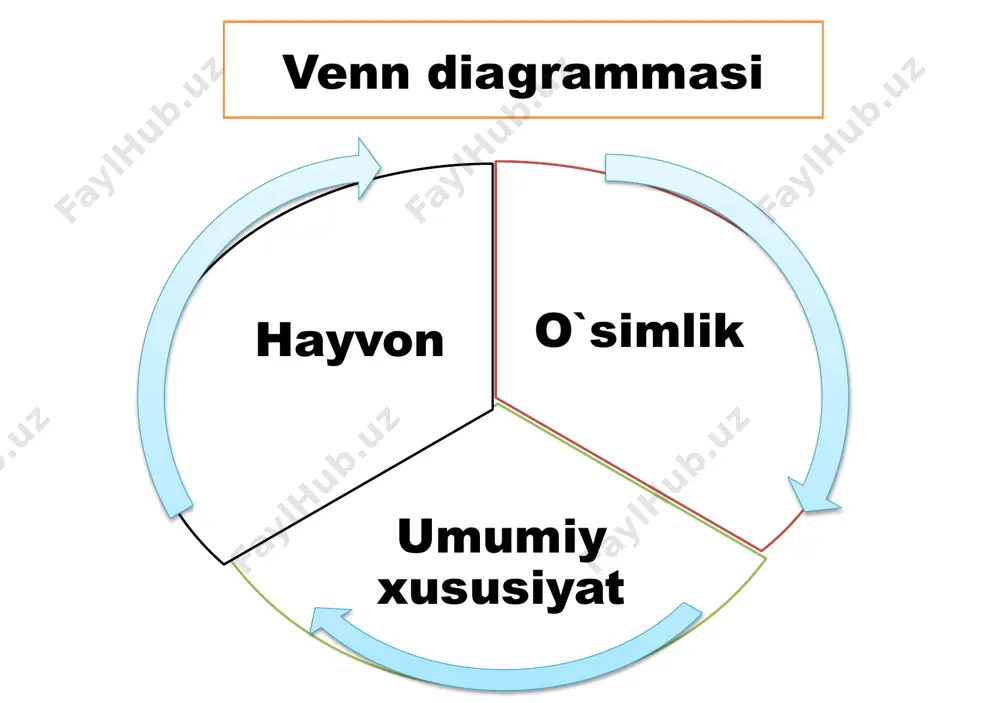 hayvon organizmi tuzilishi - Page 4