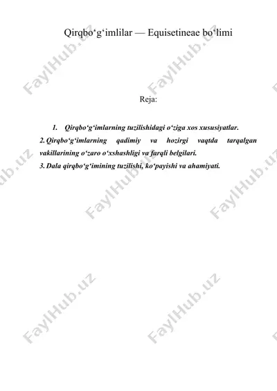 qirqbo‘g‘imlilar — equisetineae bo‘limi — DOC