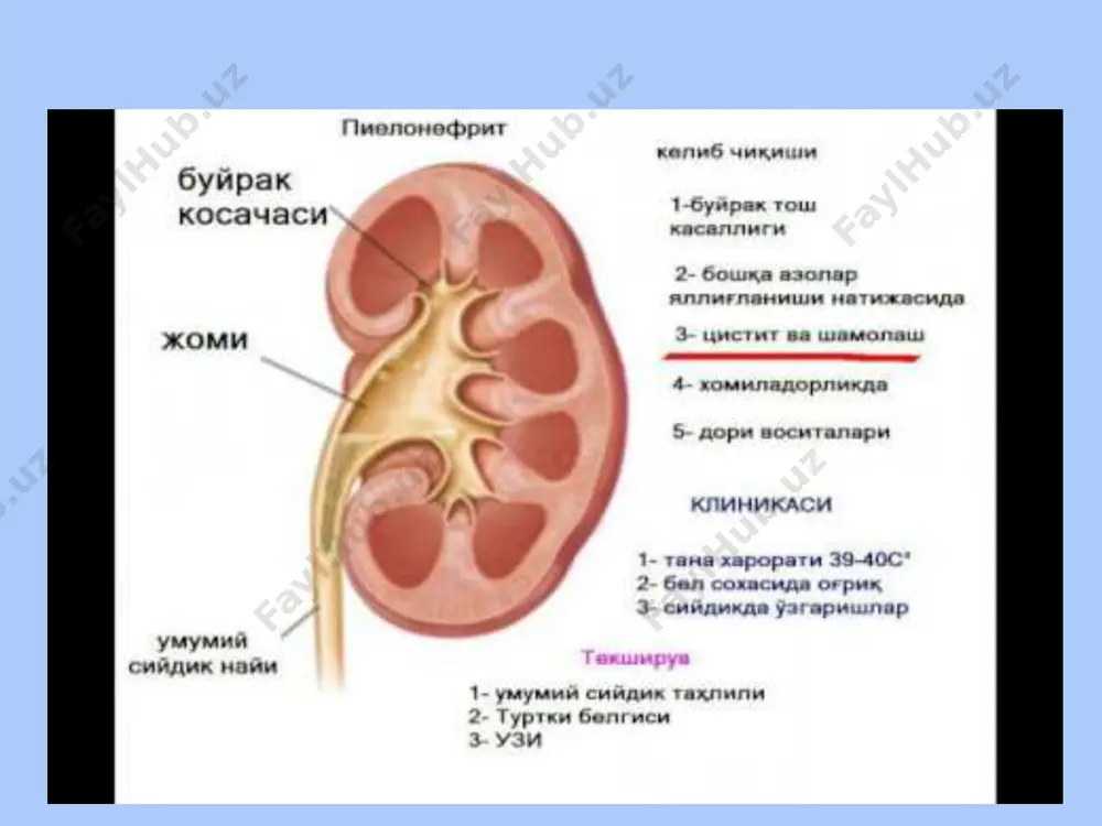 уретрит ва циститлар - Page 4