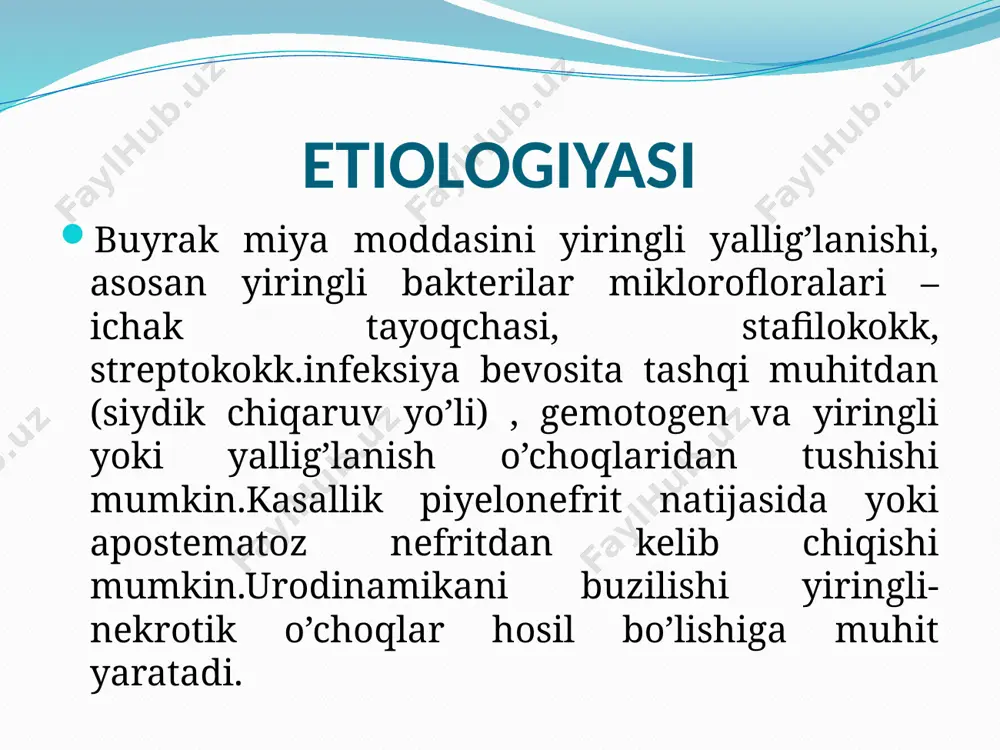 piyelonefrit asoratlari - Page 5