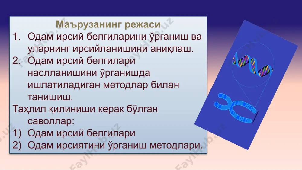 ляцияда мутант аллель қанчалик кам учраса, демак, шунча эҳтимол билан касал болалар яқин қариндошлар ўртасида туғилади; • агар ота-оналардан бири касал бўлса касал боланинг туғилиш эҳтимоли 50%; • соғлом индивидлар соғлом наслга эга; • касал индивидни ота-онасидан бири касал бўлади, истисно мутация de novo; • агар иккала ота-она аутосом-рецессив аллельга эга бўлса, касал болаларнинг туғилиш эҳтимоли 25 % бўлади, гетерозиготалар (ташувчилар) 50 % ва 25 % мутант аллельга эга бўлмайди. \ • ота-оналардан бири касал, иккинчиси гетерозигота бўлса касал болалар туғилиши 50 % бўлади; • касалликни юзага чиқиши иккала жинсда бир хил, яъни жинсга боғлиқ эмас; аутосом-рецессив тип: • пробанд (шифокор генетикка мурожаат қилган шахс) касал ота-онаси соғлом, бироқ аналогик касаллик авлодда горизонтал йўналишда (битта авлодда) кузатилади (пробандни жиянларида); • касал ота ёки онадан соғлом бола туғилади; • касал боланинг туғилиш эҳтимоли 25% (касал ва соғломлар нисбати 1:4); • агар пробанд ота-онаси яқин қариндошлар бўлса, пробанд шажарасида касаллар сони ортади. …