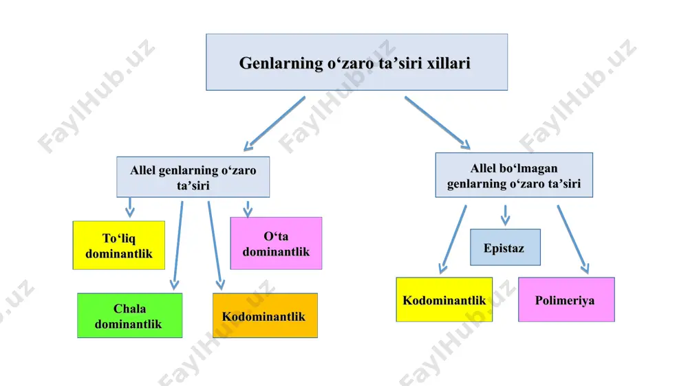 on aylanish, nerv, ovqat hazm qilish va ayirish tizimlari faoliyatining buzilishiga olib keladi. bunday mutatsiyaga nisbatan gomozigot (retsessiv gomozigotali) bo‘lgan odam bolalik davridayoq nobud bo‘ladi