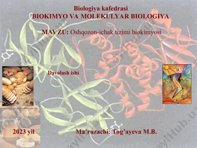 oshqozon-ichak tizimi biokimyosi — PPT