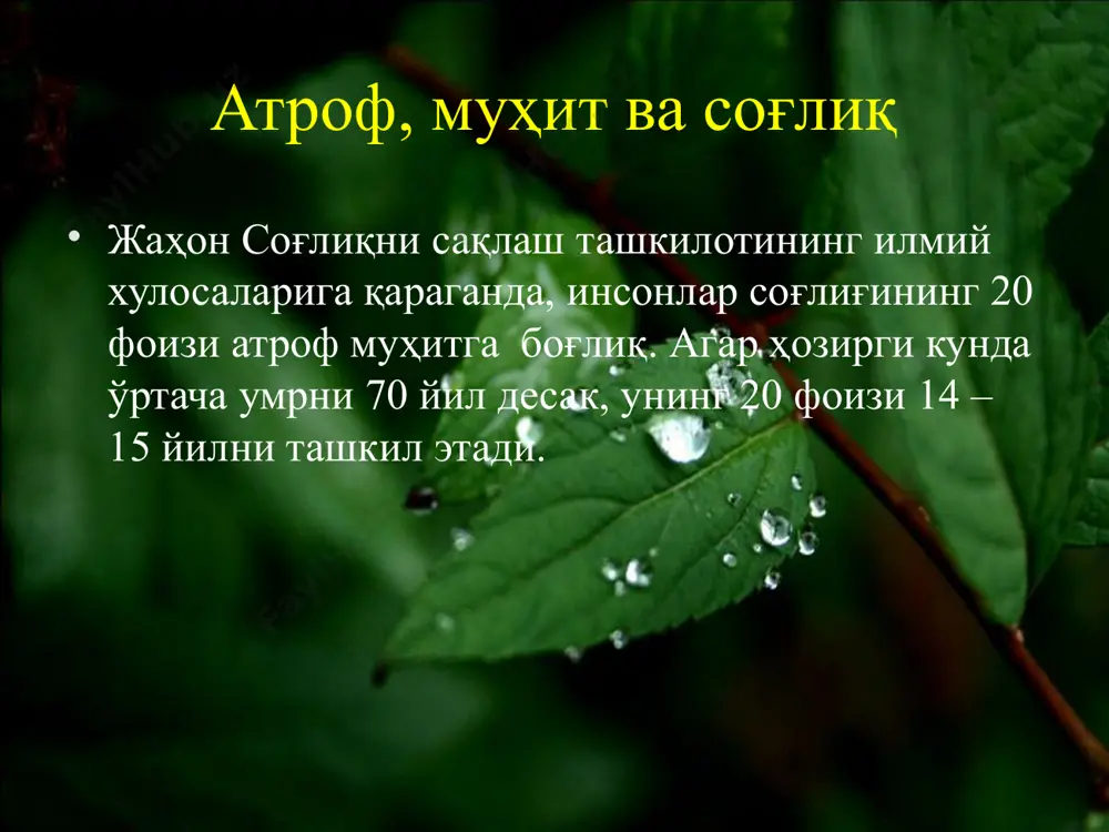 экология ва саломатлик - Page 4
