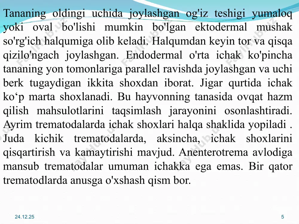 bo'ladi. sporosista yorilib, rediyalar mollyuska tanasiga chiqadi. * * o'z navbatida rediyalar ichidagi partenogenetik tuxum hujayralardan yana yangi lichinkalar - serkariylar hosil bo'ladi. so'rg'ichlari, ikki shoxli ichagi, ayirish sistemasi va nerv tugunlarining tuzilishi bilan serkariy ko‘p jihatdan voyaga yetgan parazit maritaga o'xshash, lekin undan uzun yo‘g‘on va muskulli dumining rivojlanganligi bilan farq qiladi. serkariyalar rediya tanasidagi teshik orqali mollyuska tanasiga, so'ngra suvga chiqib suzib yuradi. serkariylar ham miratsidiylarga o‘xshab oziqlanmaydi. serkariy bir muncha vaqt o'tgach, suvdagi o'tlarga o'tirib qoladi va dumini tashlab, tanasi sirtida sista hosil qiladi. parazit bu davrda adoleskariy deyiladi. suvloqqa kelgan hayvonlar o‘tlrni yeb, parazitni yuqtiradi. ichakda sistaning qobig‘i eriydi, yosh parazit hayvonning tana bo‘shlig‘i orqali jigar о‘t yo‘llariga o‘tib, asta-sekin voyaga yetadi. * * * * so‘rg‘ichlilarning patogen ahamiyati. ko'pchilik so'rg'ichlilar odam va hayvonlarda parazitlik qiladi. ular orasida jigar qurti (fasciola hepatica) katta xo'jalik ahamiyatiga ega. bu qurtning voyaga yetgan davrida uzunligi 3-5 sm bo'lib, deyarli …