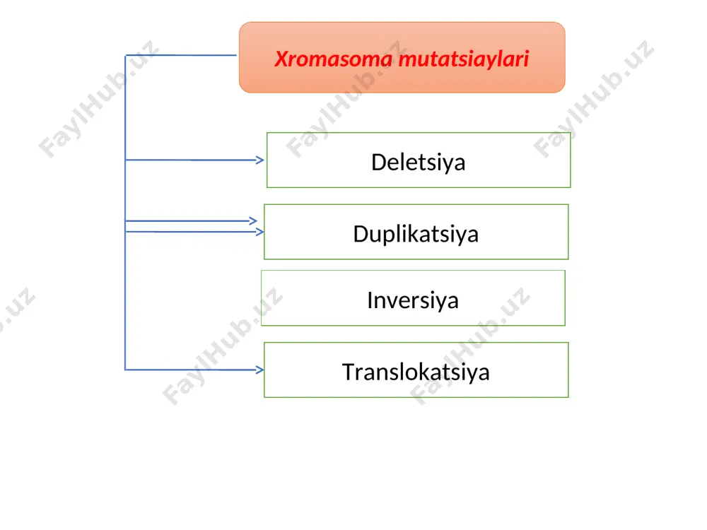 hayot kechiruvchi individlarning esa harakatchan lichinkalari, yuksak o`simliklar changi va urug`i, tuban o`simliklar, zamburug`lar sporalari yordamida joydan-joyga ko`chadi. evolyutsion nazariyada tirik organizmlarning ko`chishi keng ma’noda, ya’ni bir populyatsiyadagi organizmlarning o`z makonidan tashqariga chiqib, boshqa populyatsiyaga mansub organizmlar bilan chatishishi natijasida, genofondining o`zgarishi, hatto yangi tur kelib chiqishi uchun asos bo`lishi tushuniladi. organizmlarning ko`chishi tufayli populyatsiya genofondining o`zgarishi genlar oqimi va genlar introgressiyasi yo`nalishida boradi. alohidalanish (izolyatsiya) evolyutsiya jarayonining dastlabki omili. evolyutsiya jarayonida alohidalanish— izolyatsiya organizmlarning osonlik bilan chatishishini bartaraf etishga, populyatsiyalar va turlarga mansub organizmlardagi farqning ko`payishi va mustahkamlanishiga qaratilgan. farqlarning mustahkamlanishi esa o`z navbatida yangi individlarning shakllanishiga ijobiy ta’sir ko`rsatadi. alohidalanish geografik alohidalanish biologik alohidalanish ekologik alohidalanish etiologik alohidalanish geografik alohidalanish yirik daryolar, baland tog‘lar va boshqa to‘siqlar orqali ro‘y beradi biologik alohidalanish tur ichidagi individlarning o‘zaro chatishmasligiga olib keladi. ekologik alohidalanish bir tur doirasidagi organizmlarning har xil vaqtdagi jinsiy faolligi va jinsiy yetilishi bilan aloqador. etiologik alohidalanish hayvonlarning …