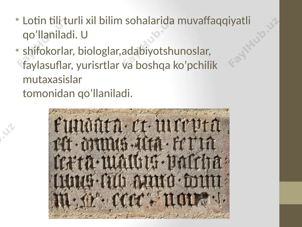 lotin tili va tibbiy terminologiya - Page 5