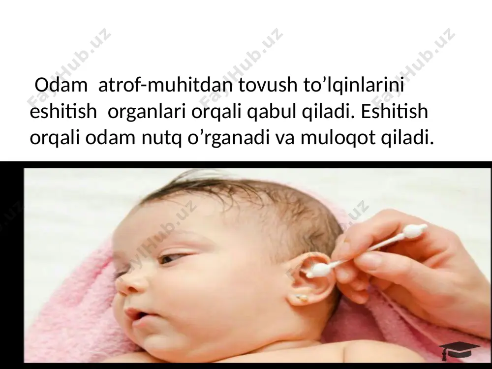 eshitish organlarining tuzilishi, eshitish gigiyenasi - Page 4