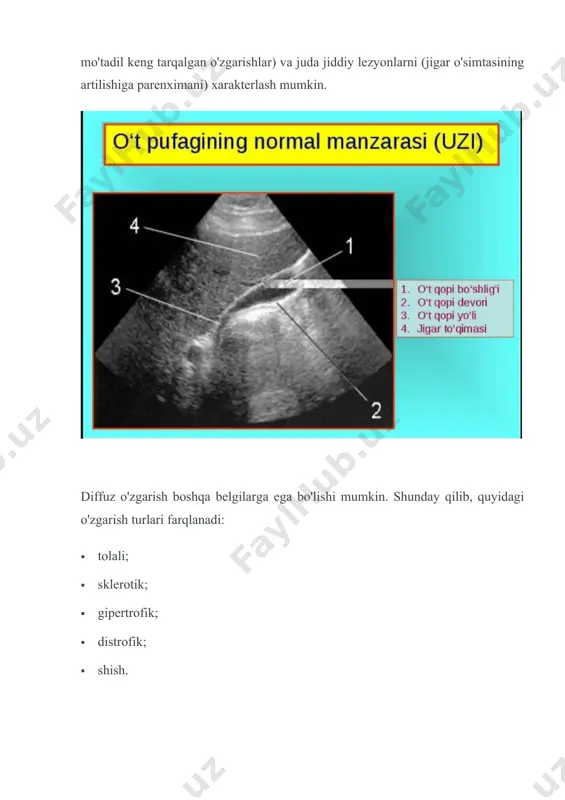 . jigar parenximasida o'zgarishlarning har doim ham emasligi kasallikni ko'rsatmoqda. ammo ba'zi hollarda ular quyidagi patologiyaning natijasi bo'lishi mumkin: virusli gepatit; · spirtli gepatit ; · jigarning yog 'degeneratsiyasi; · surunkali gepatit; · siroz; · xolangit va boshqalar. diffuz jigar belgilari o'zgaradi jigar to'qimalarida keng tarqalgan o'zgarishlar odamni bezovta qilmasdan klinik belgilarsiz boshlanishi mumkin. ko'pincha o'zgarishlar ultratovush tashxisi bilan bog'liq profilaktik tekshiruv davomida qayd etiladi. jigar hajmi va zichligi tufayli ultratovush to'lqinlarini aks ettiradi, shuning uchun u ultratovush bilan yaxshi tekshiriladi. diffuz jigar o'zgarishlarining ekografik belgilari (yo`qotishlar) quyidagicha ifodalanadi: · heterojen mato tuzilishi; · parenkima ekosferensiyasini kuchaytirish; · qisqartirilgan va ko'paygan ekologik tovushlar mavjudligi; · jigar hajmi ortdi; · qon tomirlarining namunasini o'zgartirish. diffuz jigar o'zgarishini davolash diffuz o'zgarishlarni davolash, olib kelingan aniq sabablarni aniqlagandan so'ng amalga oshiriladi bu hodisalar. bu quyidagilarni o'z ichiga olgan ba'zi bir qo'shimcha ishlarni talab qiladi: · qon analizi; · magnit aks sado ko'rish; · …