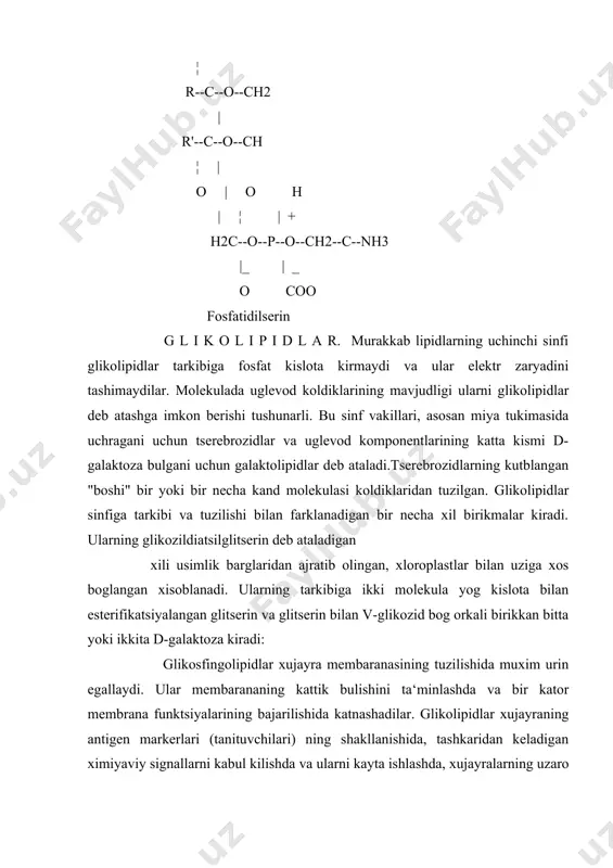 ipidlar tarkibiga fosfat kislota kirmaydi va ular elektr zaryadini tashimaydilar. molekulada uglevod koldiklarining mavjudligi ularni glikolipidlar deb atashga imkon berishi tushunarli. bu sinf vakillari, asosan miya tukimasida uchragani uchun tserebrozidlar va uglevod komponentlarining katta kismi d-galaktoza bulgani uchun galaktolipidlar deb ataladi.tserebrozidlarning kutblangan "boshi" bir yoki bir necha kand molekulasi koldiklaridan tuzilgan. glikolipidlar sinfiga tarkibi va tuzilishi bilan farklanadigan bir necha xil birikmalar kiradi. ularning glikozildiatsilglitserin deb ataladigan xili usimlik barglaridan ajratib olingan, xloroplastlar bilan uziga xos boglangan xisoblanadi. ularning tarkibiga ikki molekula yog kislota bilan esterifikatsiyalangan glitserin va glitserin bilan v-glikozid bog orkali birikkan bitta yoki ikkita d-galaktoza kiradi: glikosfingolipidlar xujayra membaranasining tuzilishida muxim urin egallaydi. ular membarananing kattik bulishini ta‘minlashda va bir kator membrana funktsiyalarining bajarilishida katnashadilar. glikolipidlar xujayraning antigen markerlari (tanituvchilari) ning shakllanishida, tashkaridan keladigan ximiyaviy signallarni kabul kilishda va ularni kayta ishlashda, xujayralarning uzaro alokalarida, membrana utkazuvchanlik xususiyatining bajarilishida,fermentlari faoliyatini aniklashda xal kiluvchi urinni egallaydi. sterinlar (sterollar) …