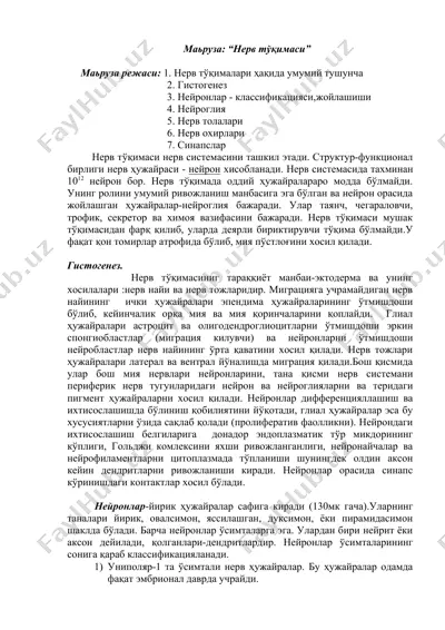 нерв тўқимаси — DOCX