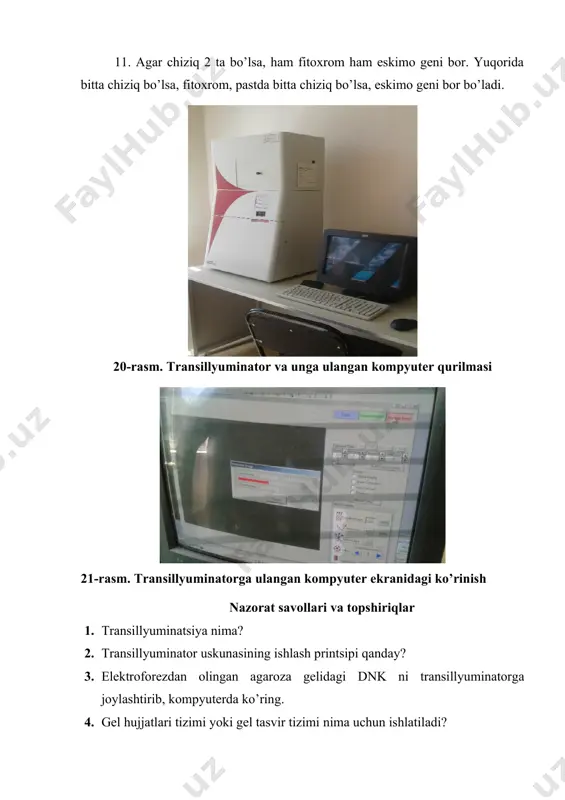 transillyuminator hamda gel-xujjatlashtiruvchi tizim (gel documentation system) - Page 4