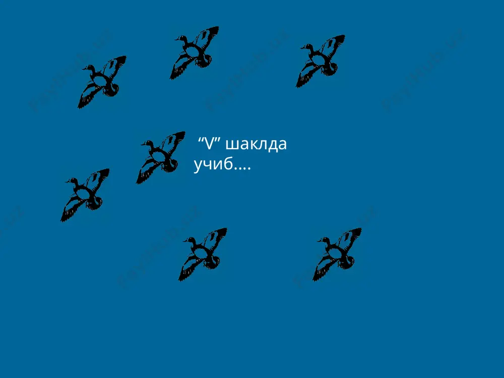 qiziqarli qiziqishlar va ularning sababi - Page 3